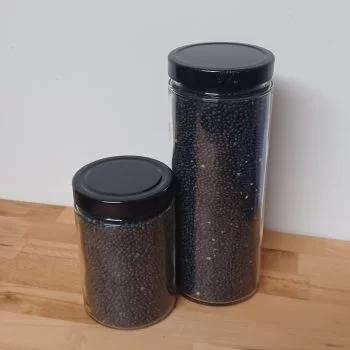 Black beluga lentils